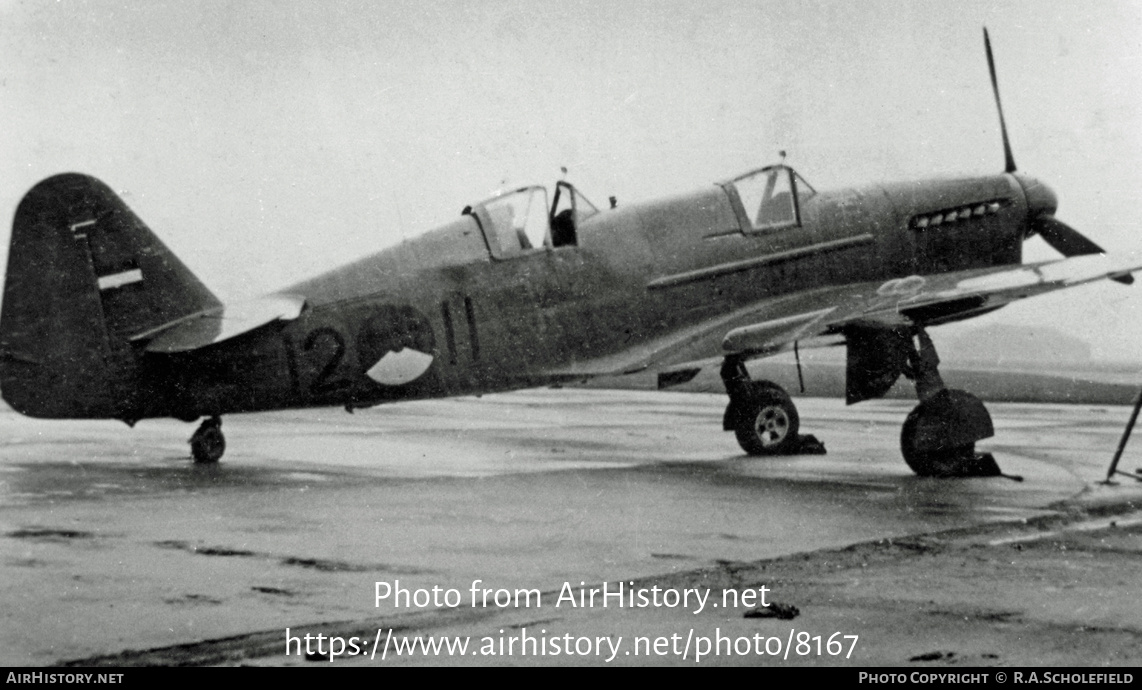 Aircraft Photo of 12-11 | Fairey Firefly T2 | Netherlands - Navy | AirHistory.net #8167