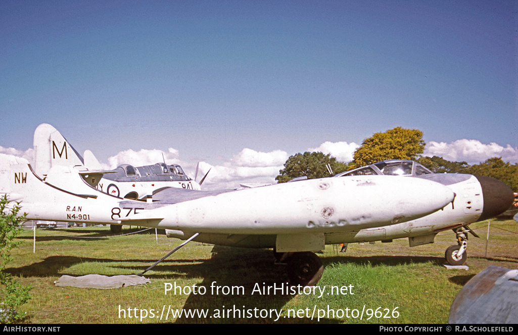 Aircraft Photo of N4-901 | De Havilland D.H. 112 Sea Venom FAW53 | Australia - Navy | AirHistory.net #9626