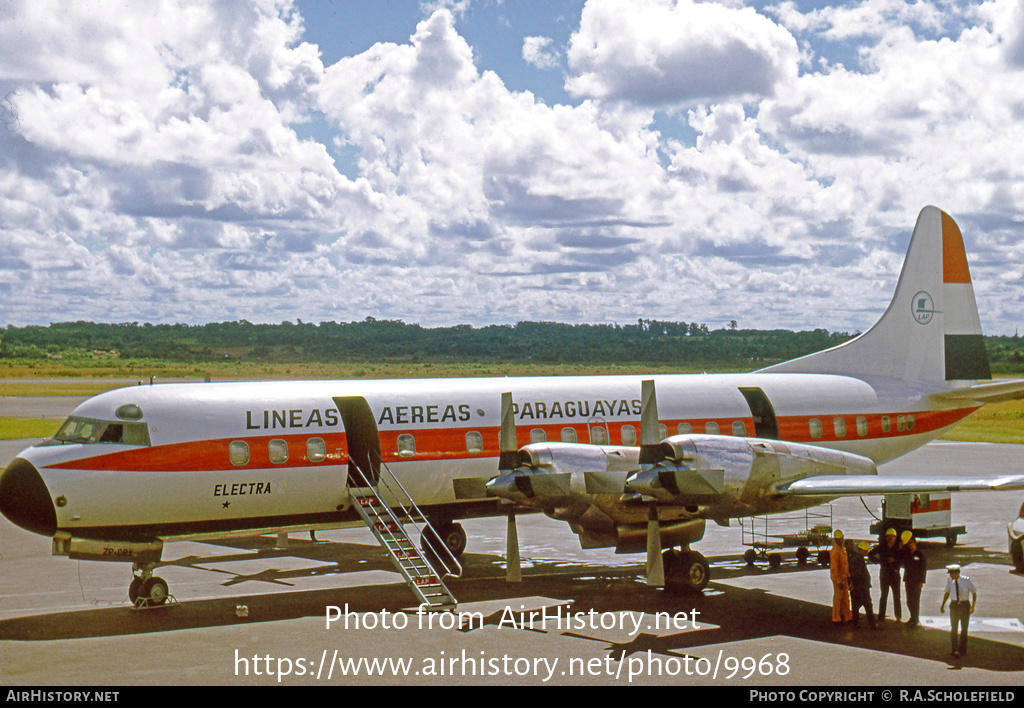 Aircraft Photo of ZP-CBX | Lockheed L-188A Electra | Líneas Aéreas Paraguayas - LAP | AirHistory.net #9968