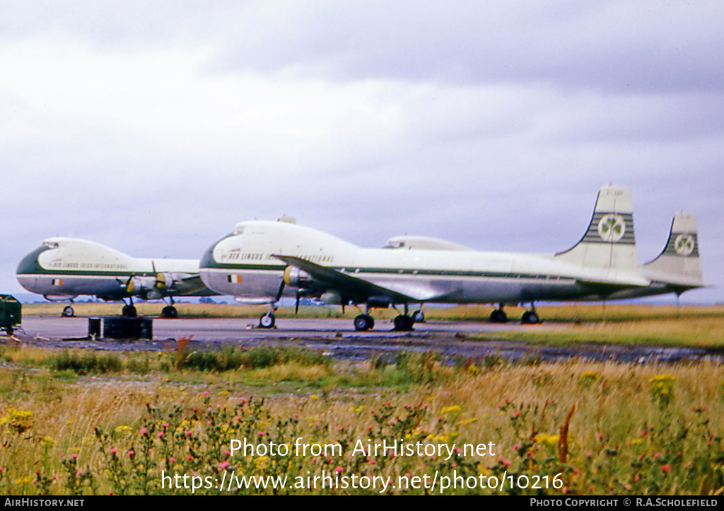 Aircraft Photo of EI-AMP | Aviation Traders ATL-98 Carvair | Aer Lingus - Irish International Airlines | AirHistory.net #10216