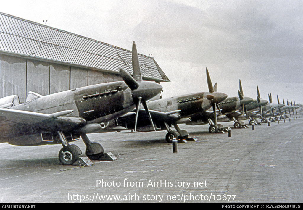 Aircraft Photo of TZ103 | Supermarine 379 Spitfire FR14 | UK - Air Force | AirHistory.net #10677