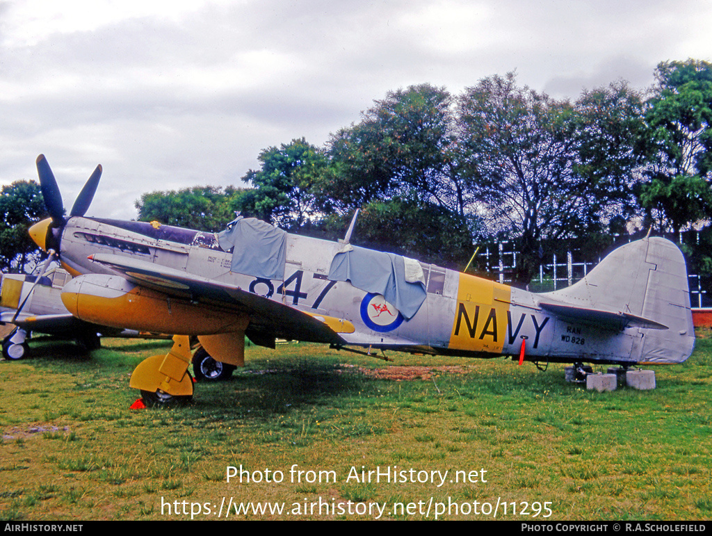 Aircraft Photo of WD828 | Fairey Firefly TT6 | Australia - Navy | AirHistory.net #11295