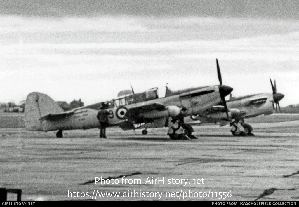 Aircraft Photo of VX413 | Fairey Firefly AS5 | UK - Navy | AirHistory.net #11556