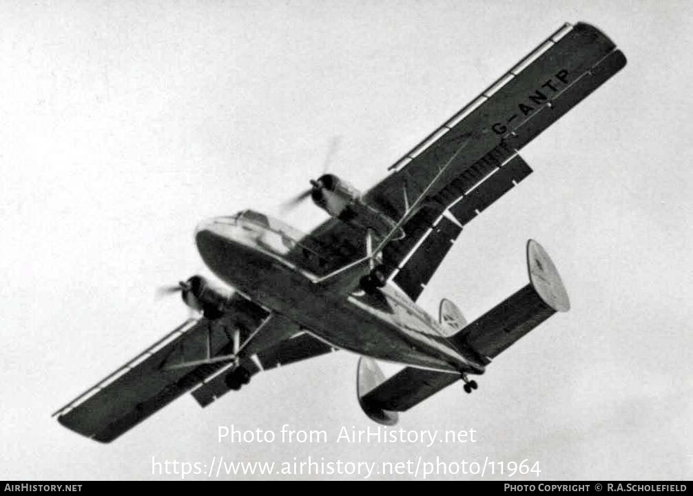 Aircraft Photo of G-ANTP | Scottish Aviation Twin Pioneer Series 1 | Scottish Aviation | AirHistory.net #11964