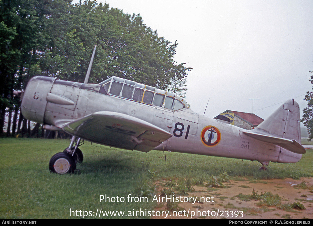 Aircraft Photo of 43981 | North American SNJ-5 Texan | France - Navy | AirHistory.net #23393