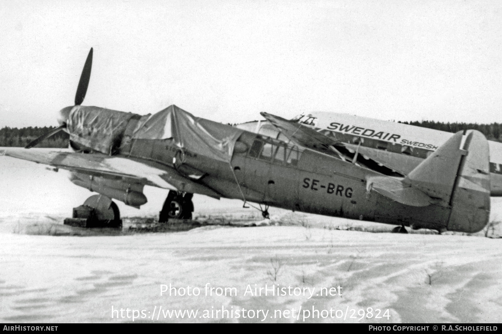 Aircraft Photo of SE-BRG | Fairey Firefly TT1 | Svensk Flygtjänst | AirHistory.net #29824