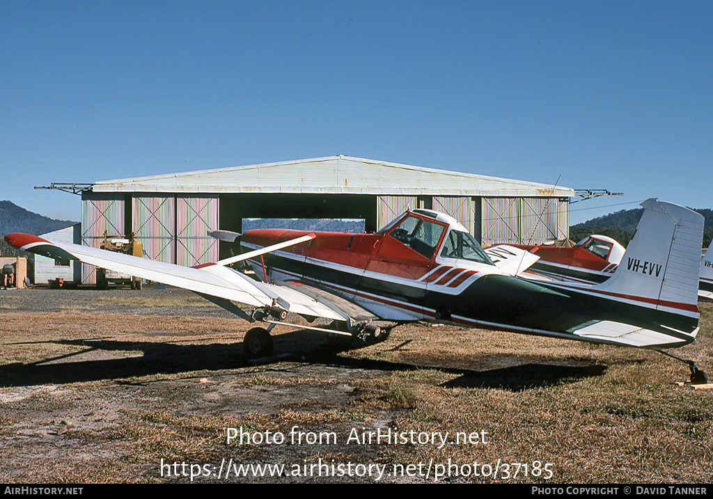 Aircraft Photo of VH-EVV | Cessna A188B AgWagon | AirHistory.net #37185