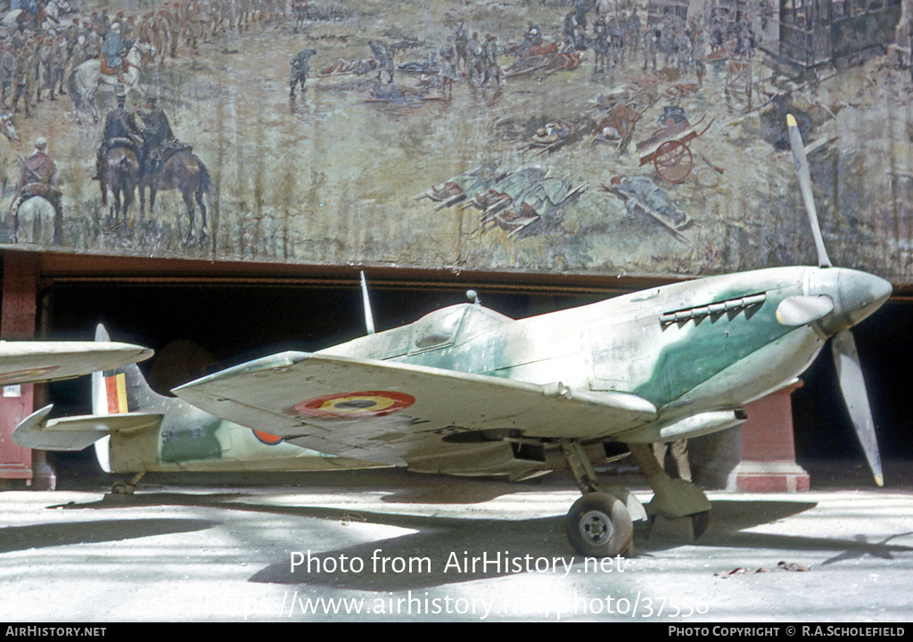 Aircraft Photo of SM-15 | Supermarine 361 Spitfire LF9C | Belgium - Air Force | AirHistory.net #37556