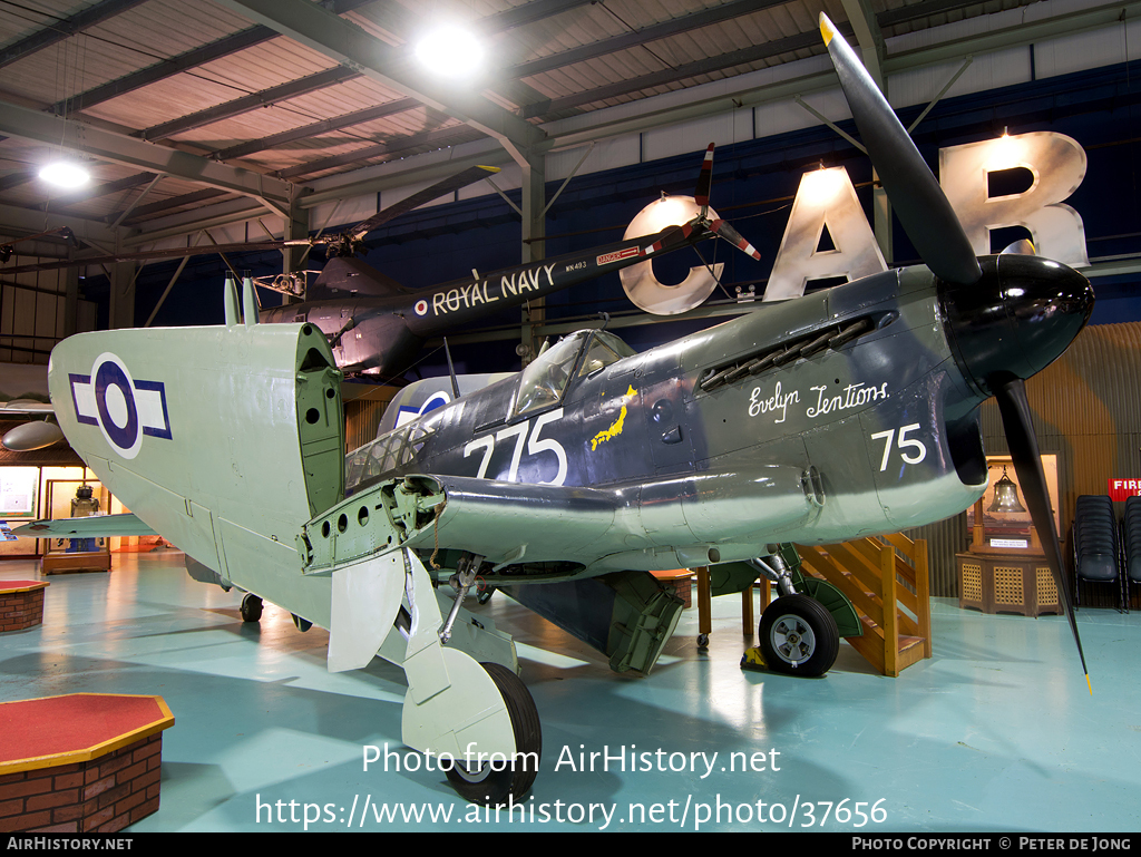 Aircraft Photo of Z2033 | Fairey Firefly TT1 | UK - Navy | AirHistory.net #37656