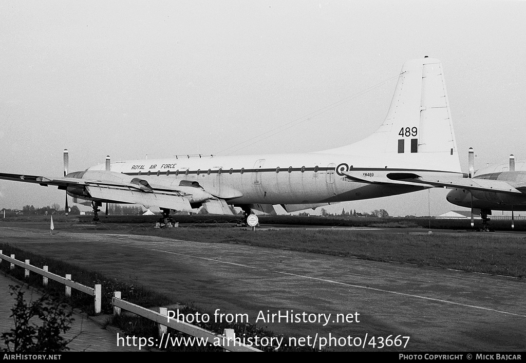 Aircraft Photo of OO-YCC / XM489 | Bristol 175 Britannia C.1 (253) | UK - Air Force | AirHistory.net #43667