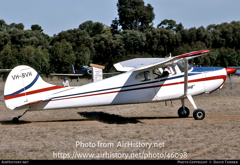 Aircraft Photo of VH-BVH | Cessna 170B | AirHistory.net #46098