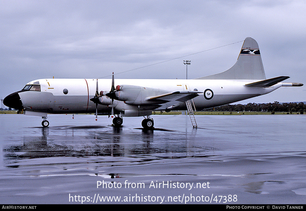 Aircraft Photo of A9-605 | Lockheed P-3B Orion | Australia - Air Force | AirHistory.net #47388