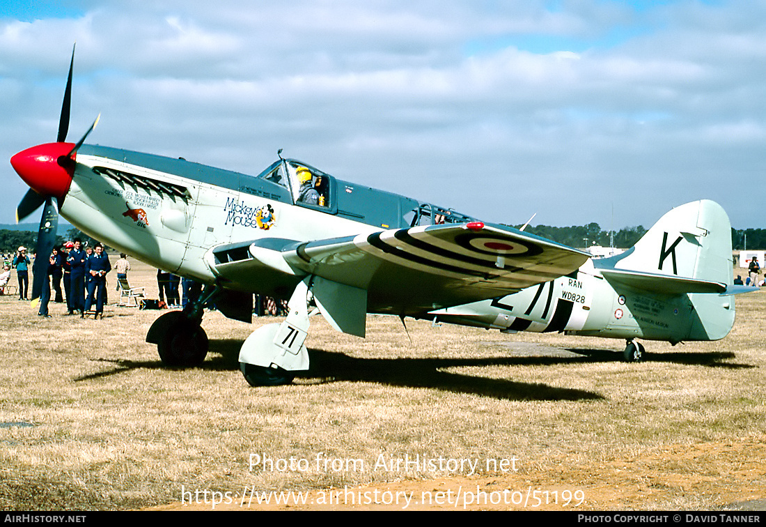 Aircraft Photo of VH-HMW / WD828 | Fairey Firefly AS6 | Australia - Navy | AirHistory.net #51199