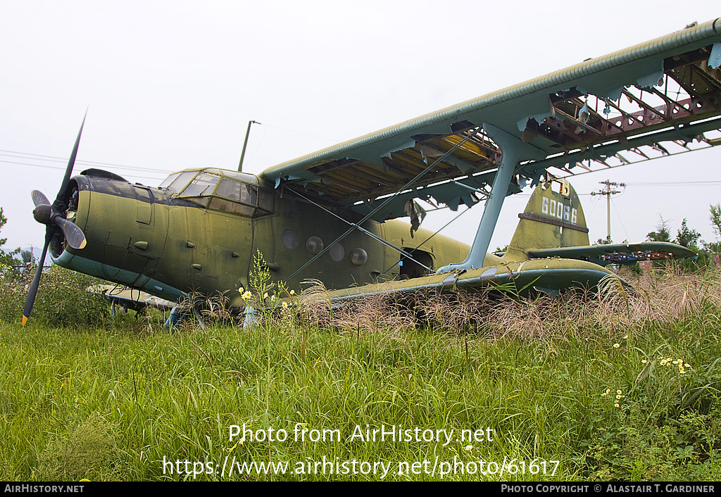 Aircraft Photo of 60066 | Shijiazhuang Y5 | China - Air Force | AirHistory.net #61617