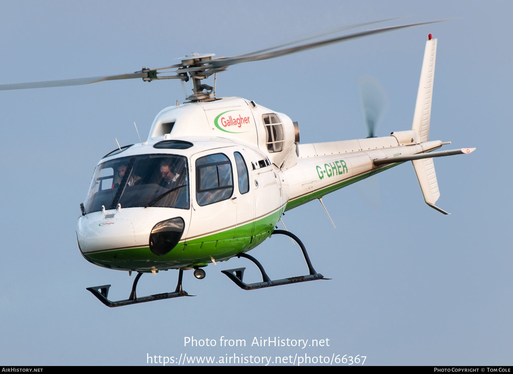 Aircraft Photo of G-GHER | Aerospatiale AS-355N Ecureuil 2 | Gallagher Group | AirHistory.net #66367