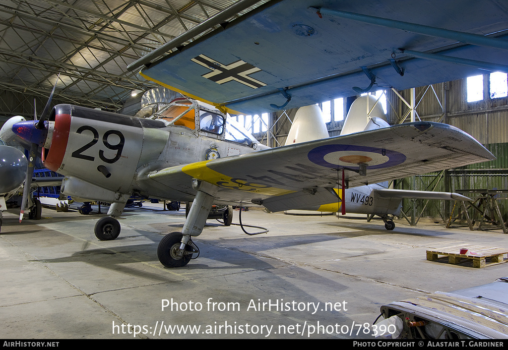 Aircraft Photo of WV493 | Percival P.56 Provost T1 | UK - Air Force | AirHistory.net #78390