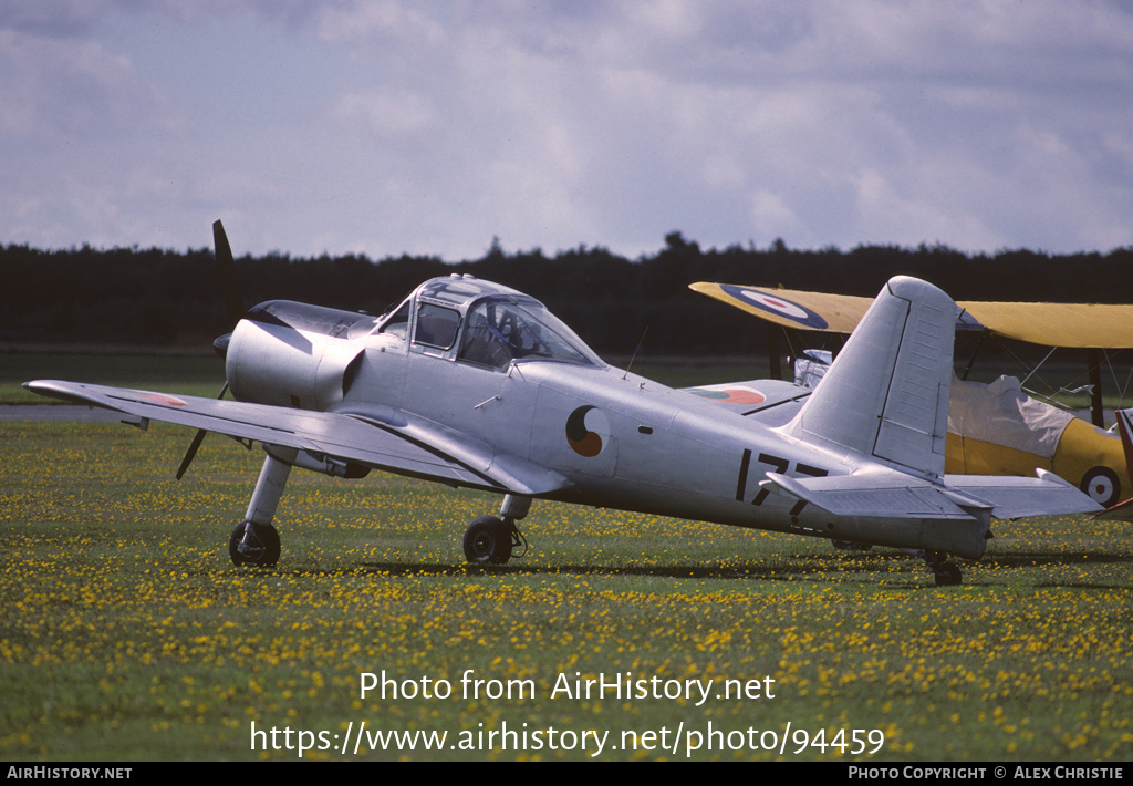 Aircraft Photo of G-BLIW / 177 | Percival P.56 Provost T51 | Ireland - Air Force | AirHistory.net #94459