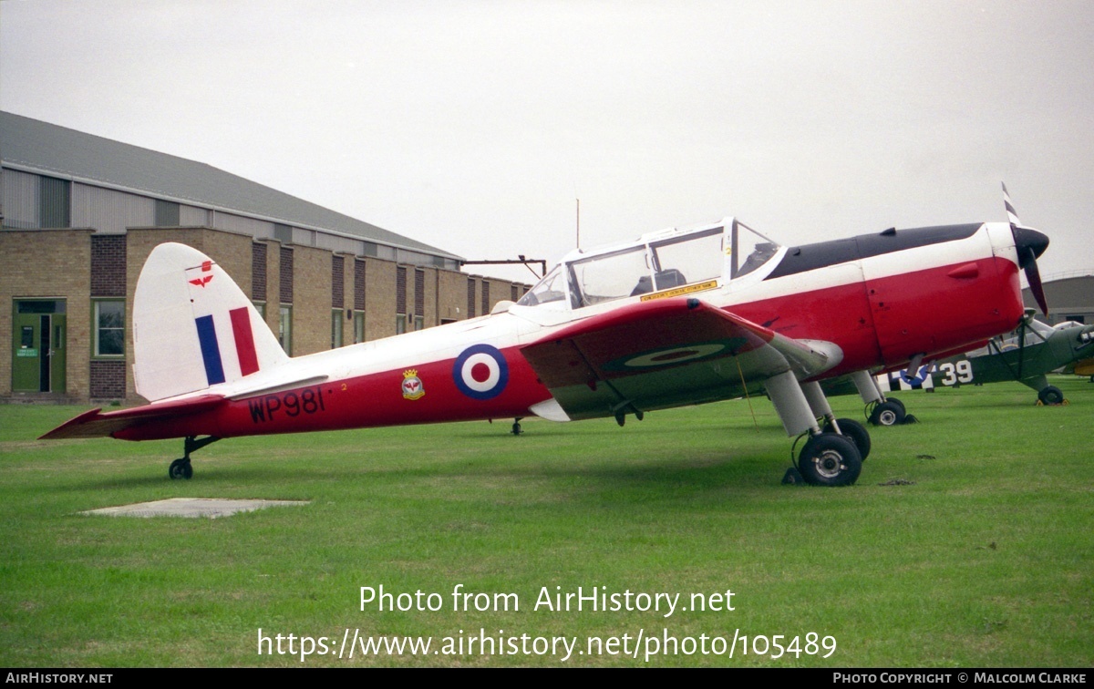 Aircraft Photo of WP981 | De Havilland DHC-1 Chipmunk T10 | UK - Air Force | AirHistory.net #105489