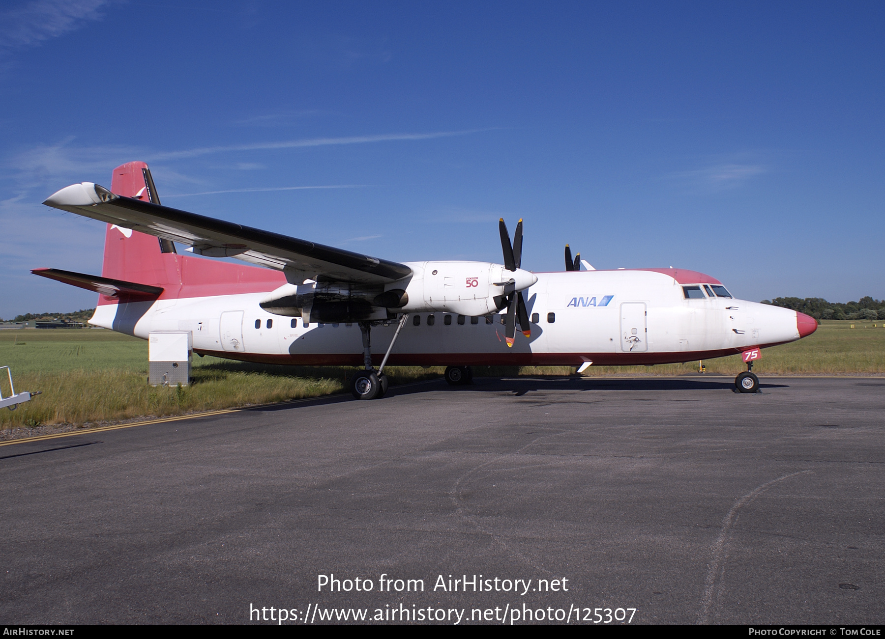 Aircraft Photo of JA8875 | Fokker 50 | All Nippon Airways - ANA | AirHistory.net #125307