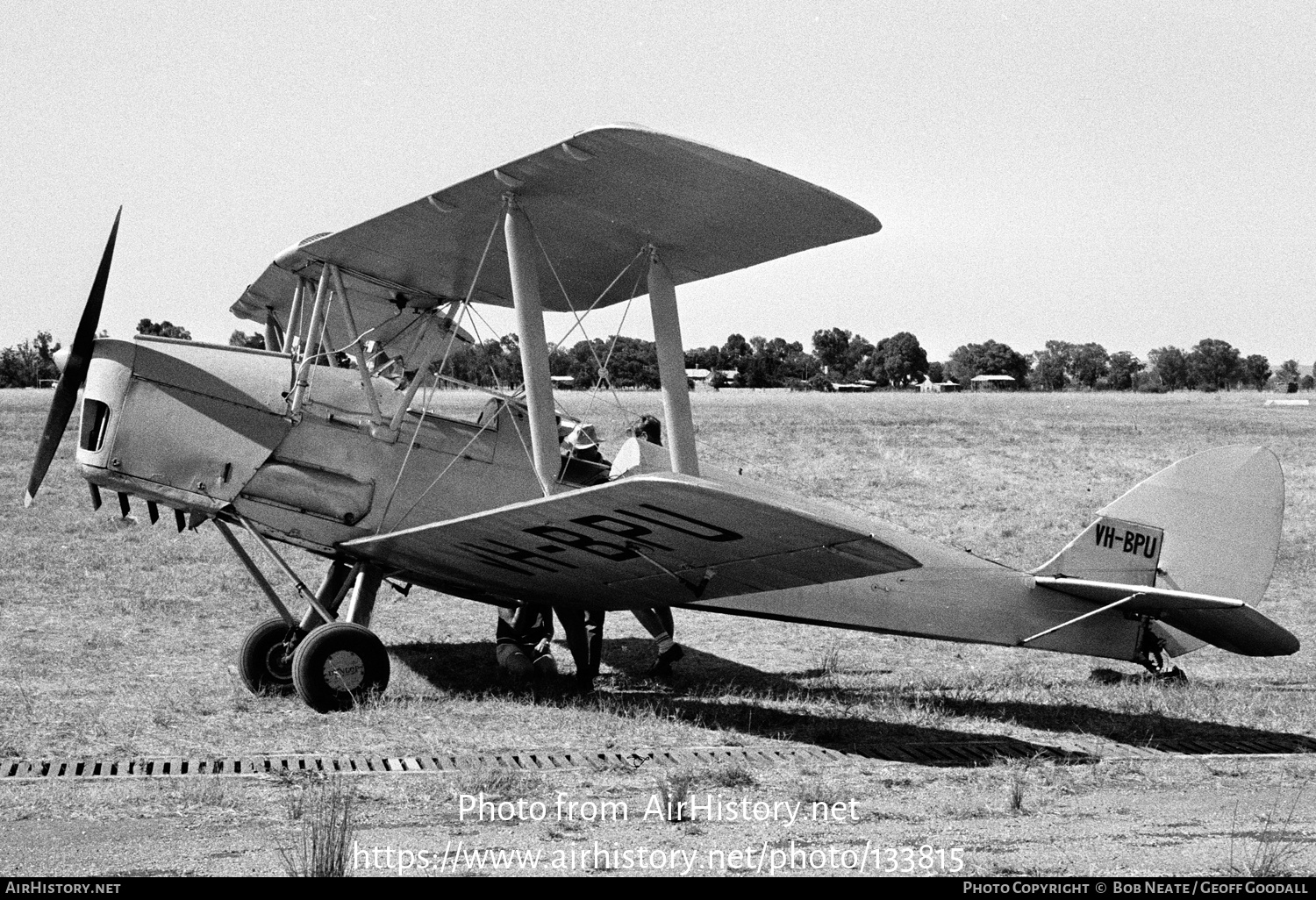 Aircraft Photo of VH-BPU | De Havilland D.H. 82A Tiger Moth | AirHistory.net #133815