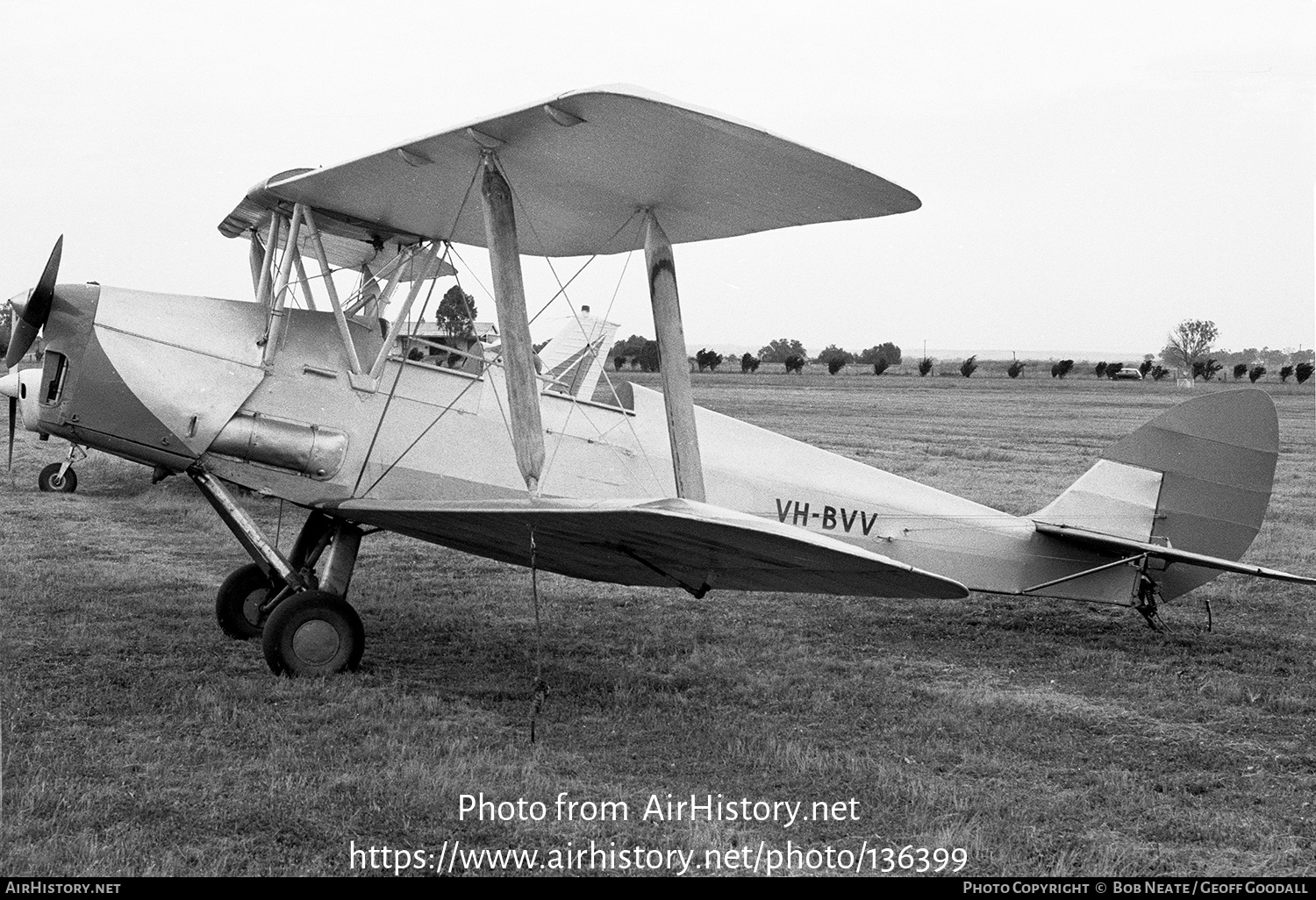 Aircraft Photo of VH-BVV | De Havilland D.H. 82A Tiger Moth | AirHistory.net #136399