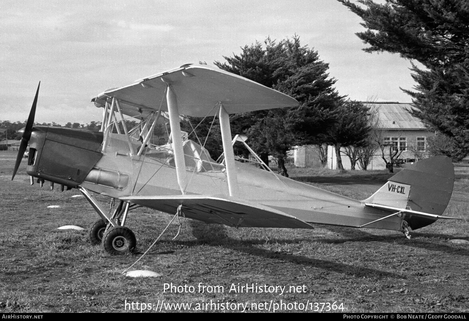 Aircraft Photo of VH-CXL | De Havilland D.H. 82A Tiger Moth | AirHistory.net #137364