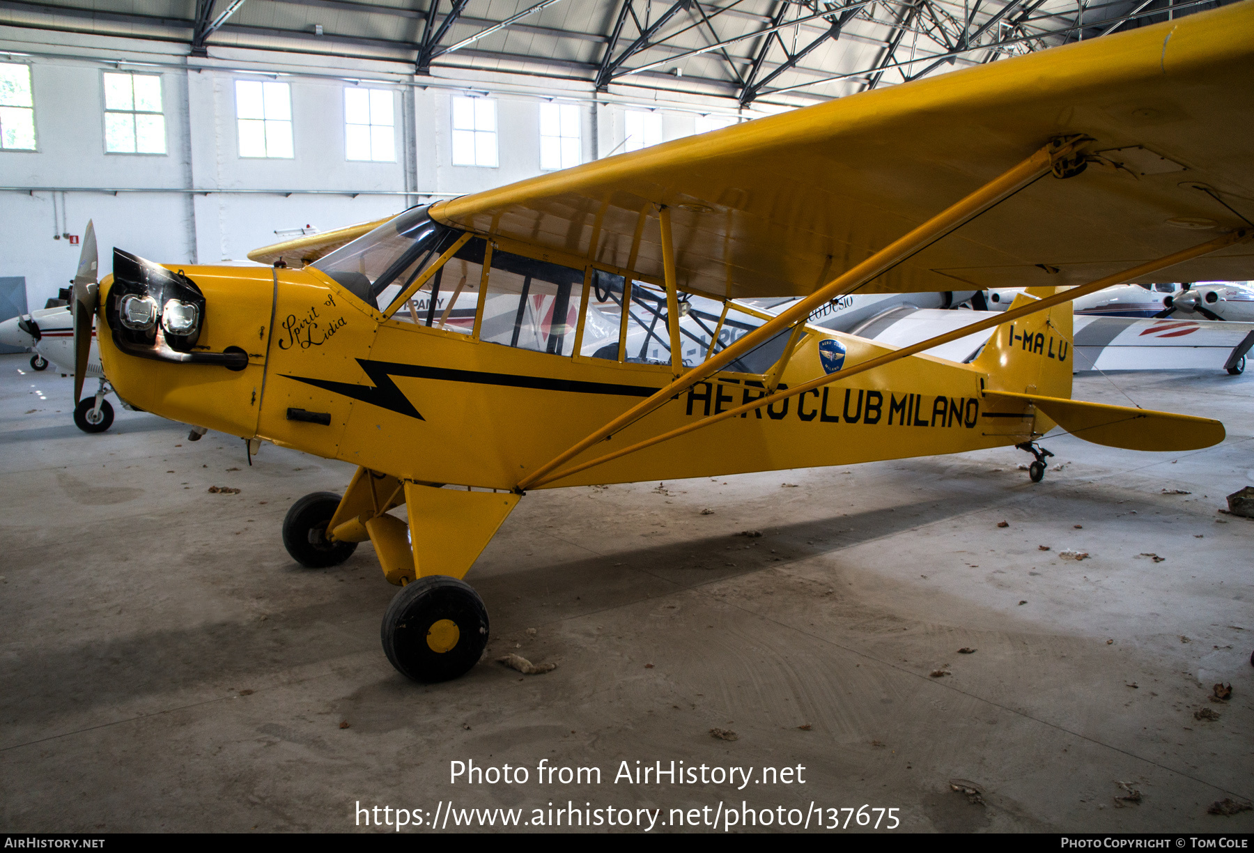 Aircraft Photo of I-MALU | Piper J-3C-65 Cub | AirHistory.net #137675