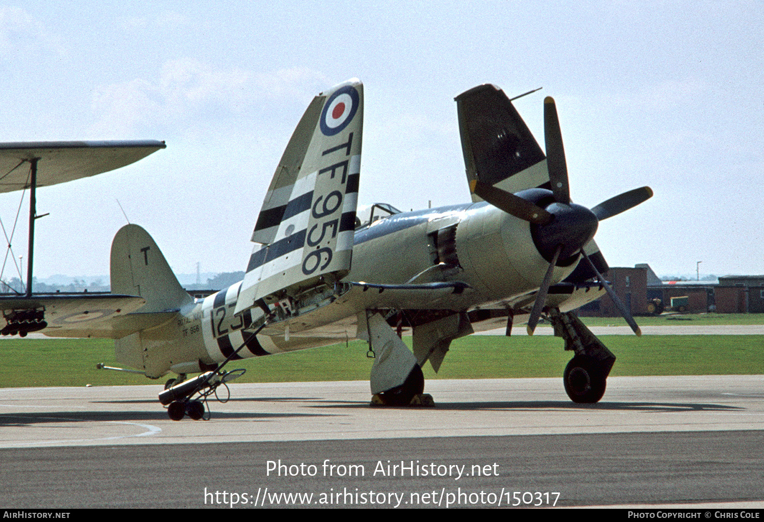 Aircraft Photo of TF956 | Hawker Sea Fury FB11 | UK - Navy | AirHistory.net #150317