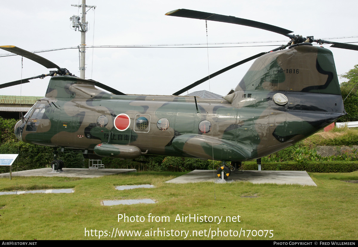 Aircraft Photo of 51816 | Kawasaki KV-107-IIA-4 | Japan - Army | AirHistory.net #170075