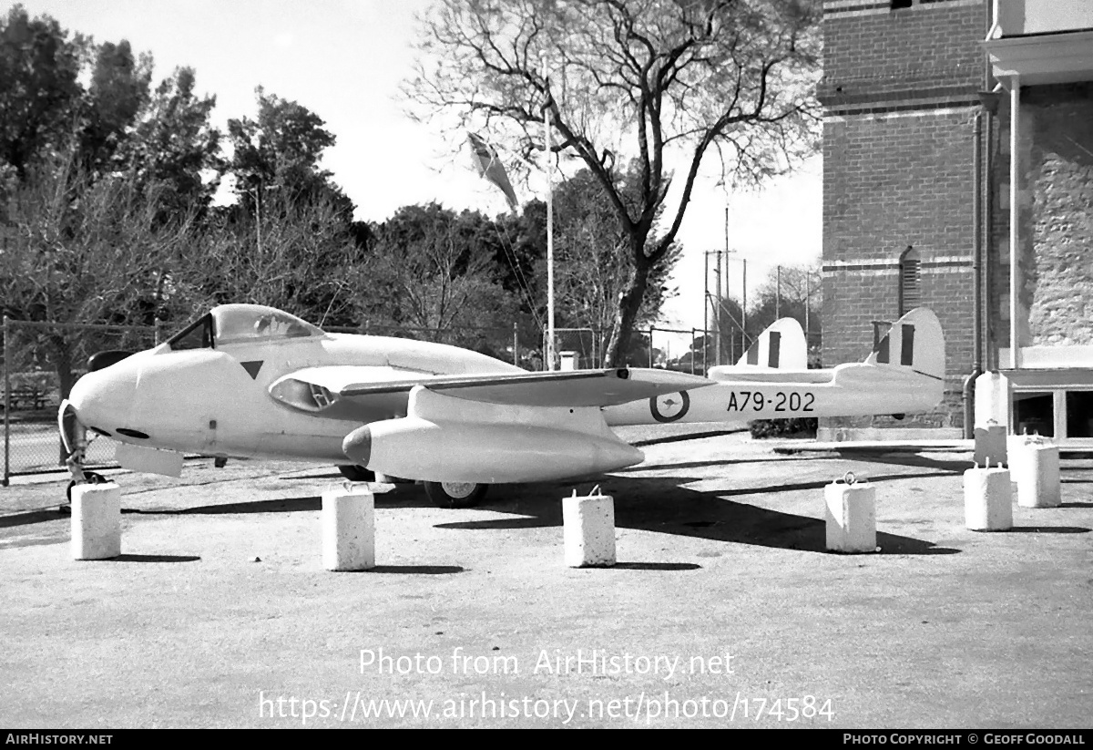 Aircraft Photo of A79-202 | De Havilland D.H. 100 Vampire FB31 | Australia - Air Force | AirHistory.net #174584