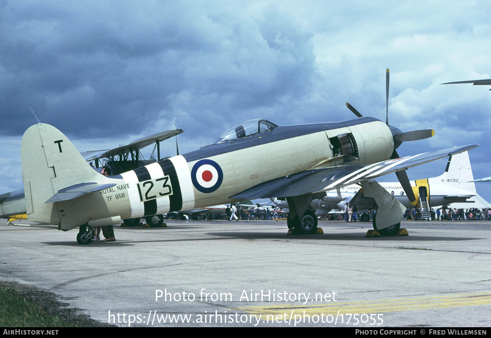 Aircraft Photo of TF956 | Hawker Sea Fury FB11 | UK - Navy | AirHistory.net #175055