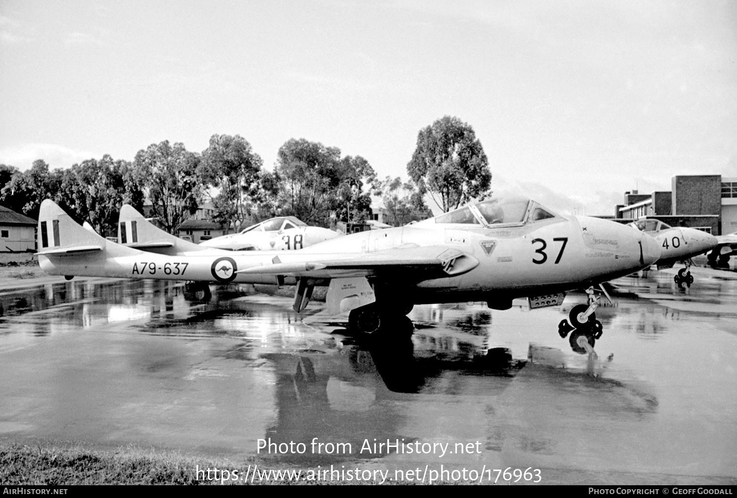 Aircraft Photo of A79-637 | De Havilland D.H. 115 Vampire T35 | Australia - Air Force | AirHistory.net #176963