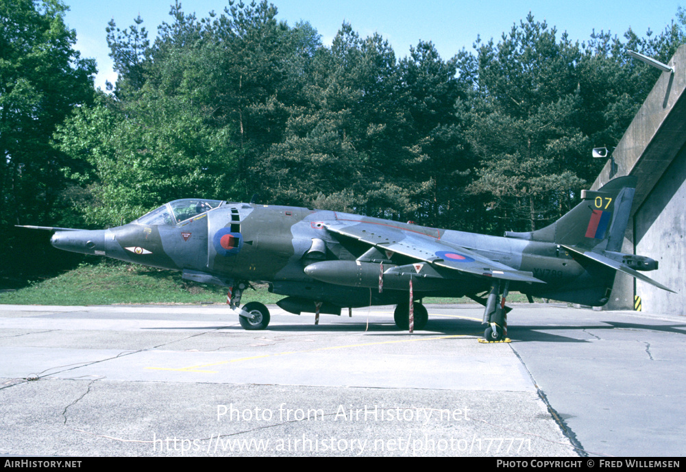 Aircraft Photo of XV789 | Hawker Siddeley Harrier GR3 | UK - Air Force | AirHistory.net #177771