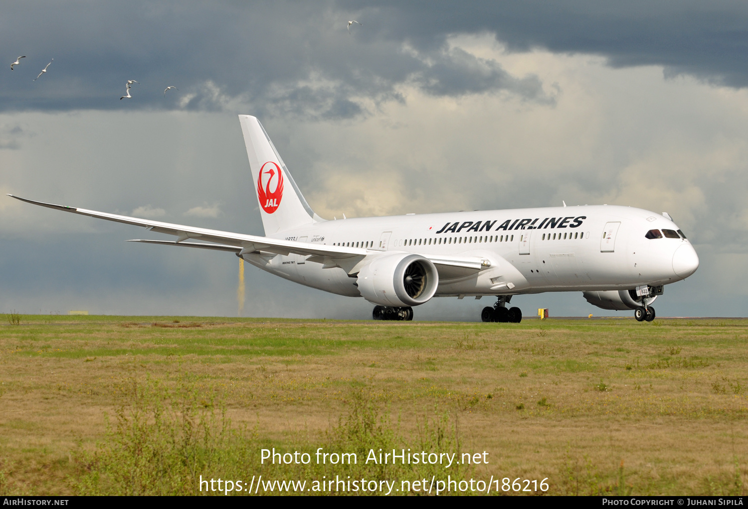 Aircraft Photo of JA833J | Boeing 787-8 Dreamliner | Japan Airlines - JAL | AirHistory.net #186216