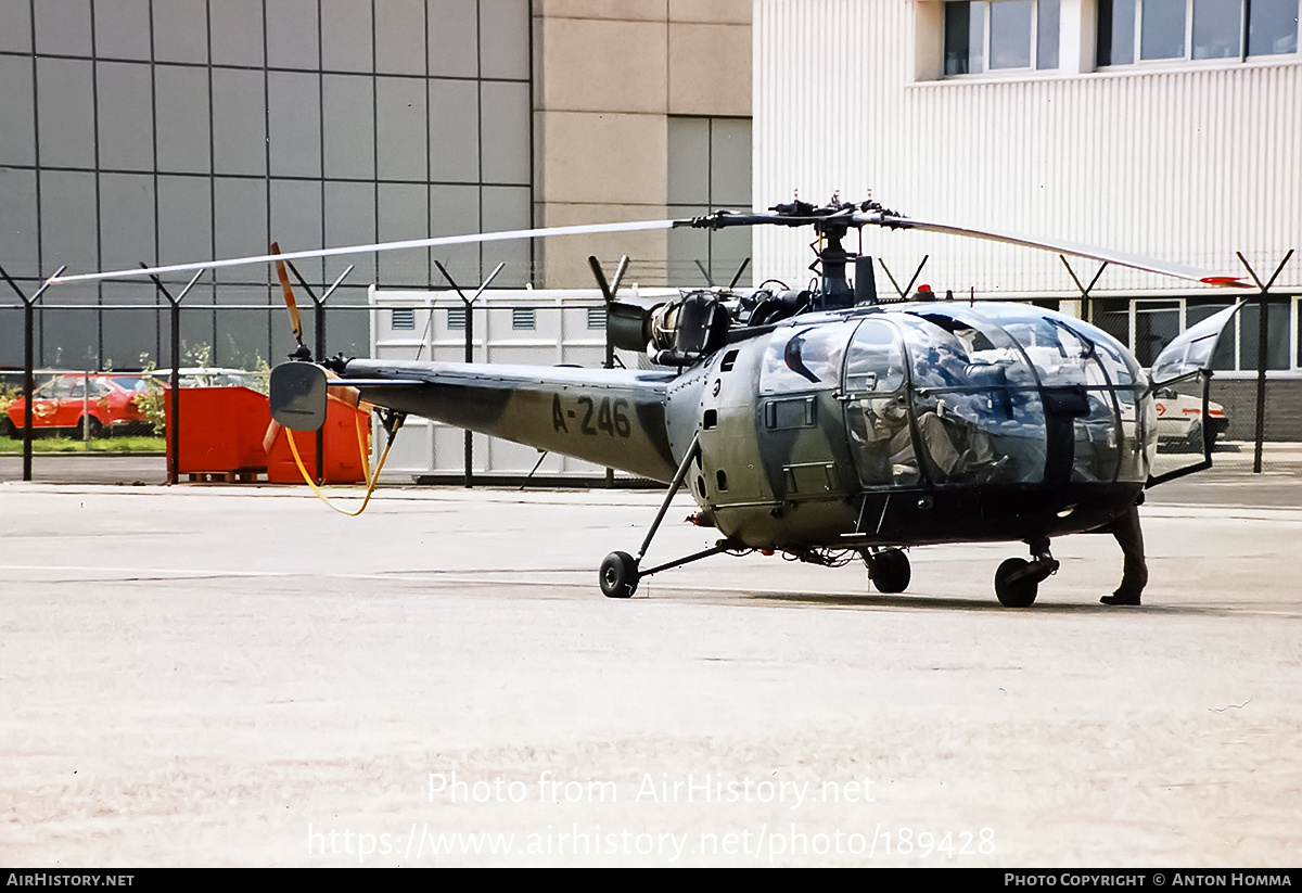 Aircraft Photo of A-246 | Sud SE-3160 Alouette III | Netherlands - Air Force | AirHistory.net #189428