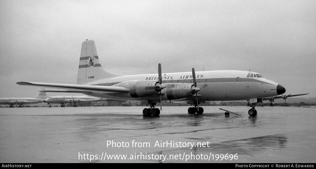 Aircraft Photo of G-ANBB | Bristol 175 Britannia 102 | Britannia ...