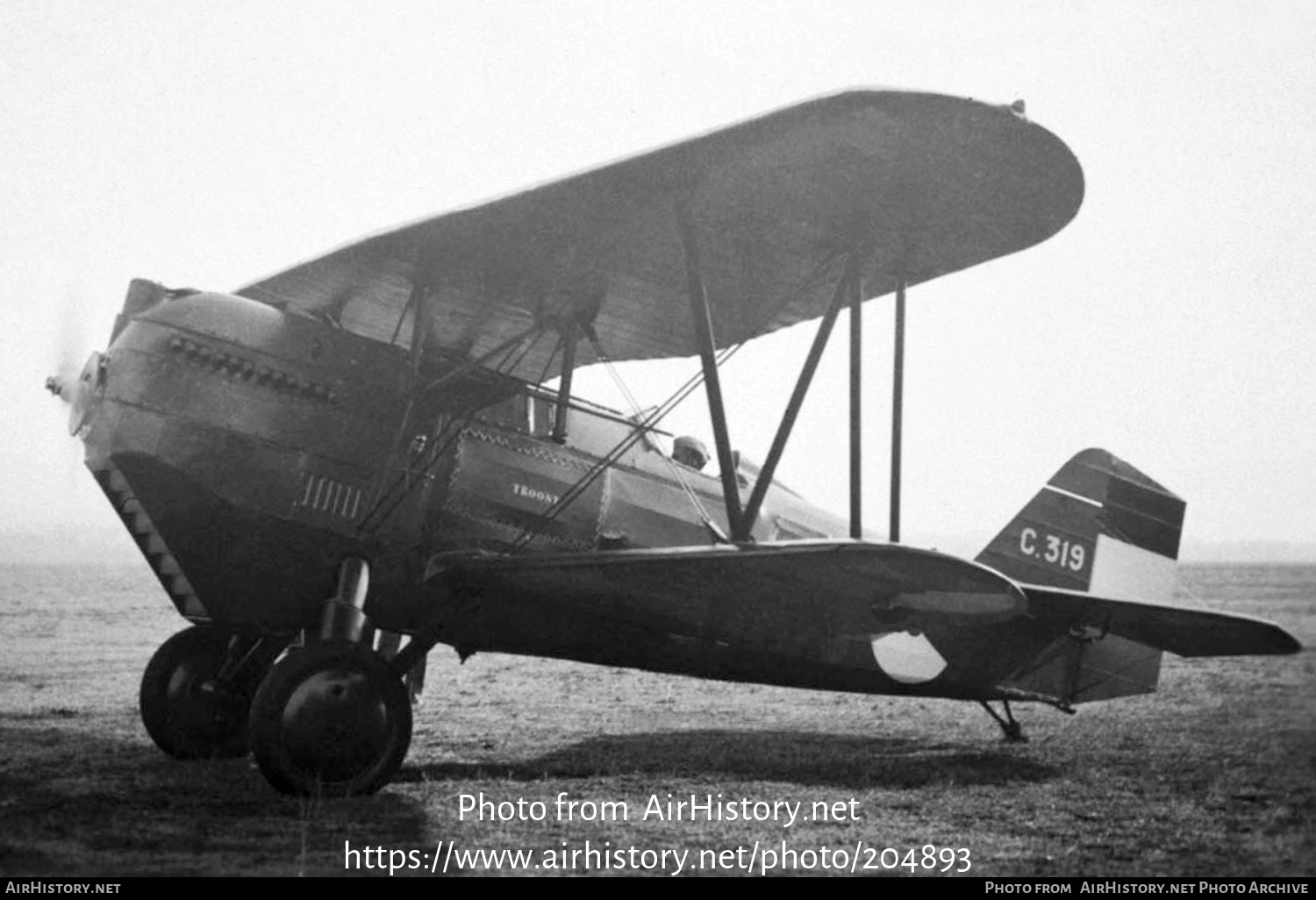 Aircraft Photo of C-319 | Curtiss P-6 Hawk I | Netherlands East Indies - Air Force | AirHistory.net #204893