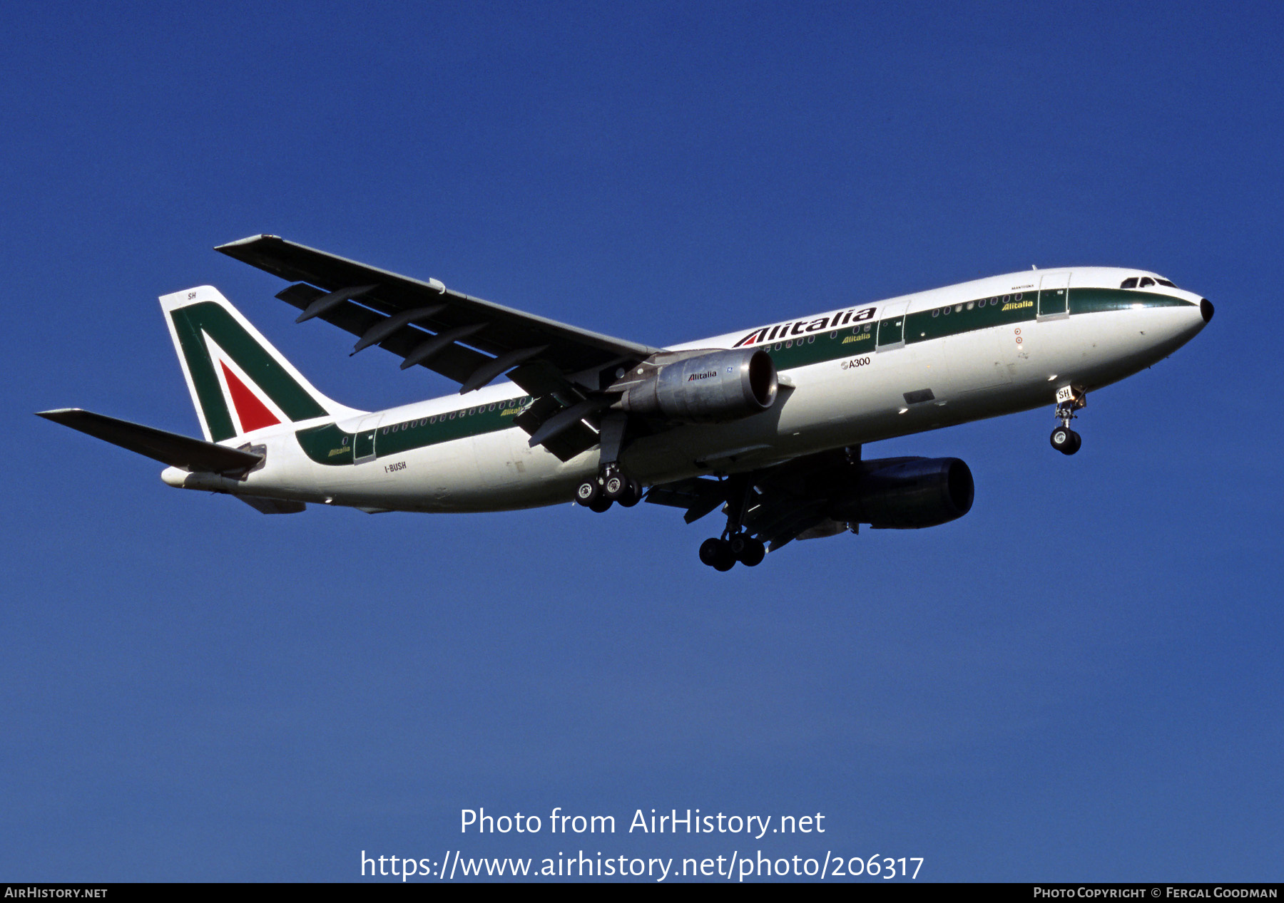 Aircraft Photo of I-BUSH | Airbus A300B4-203 | Alitalia | AirHistory.net #206317