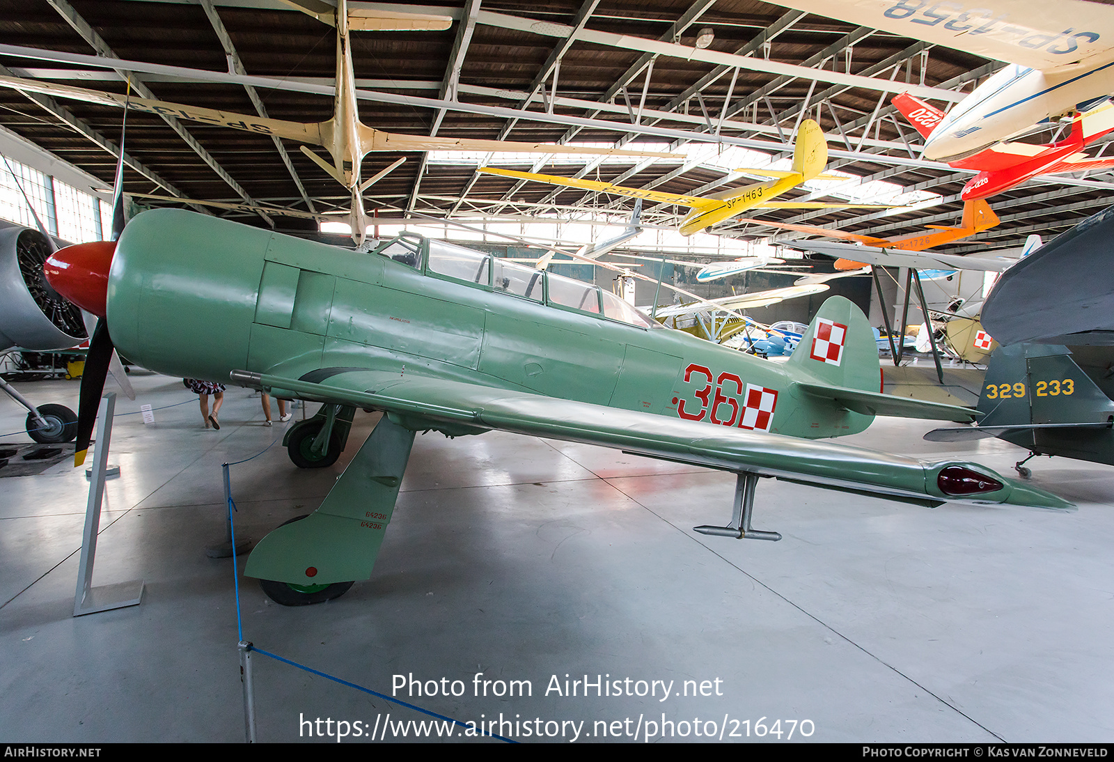 Aircraft Photo of 36 | Yakovlev Yak-11 | Poland - Air Force | AirHistory.net #216470