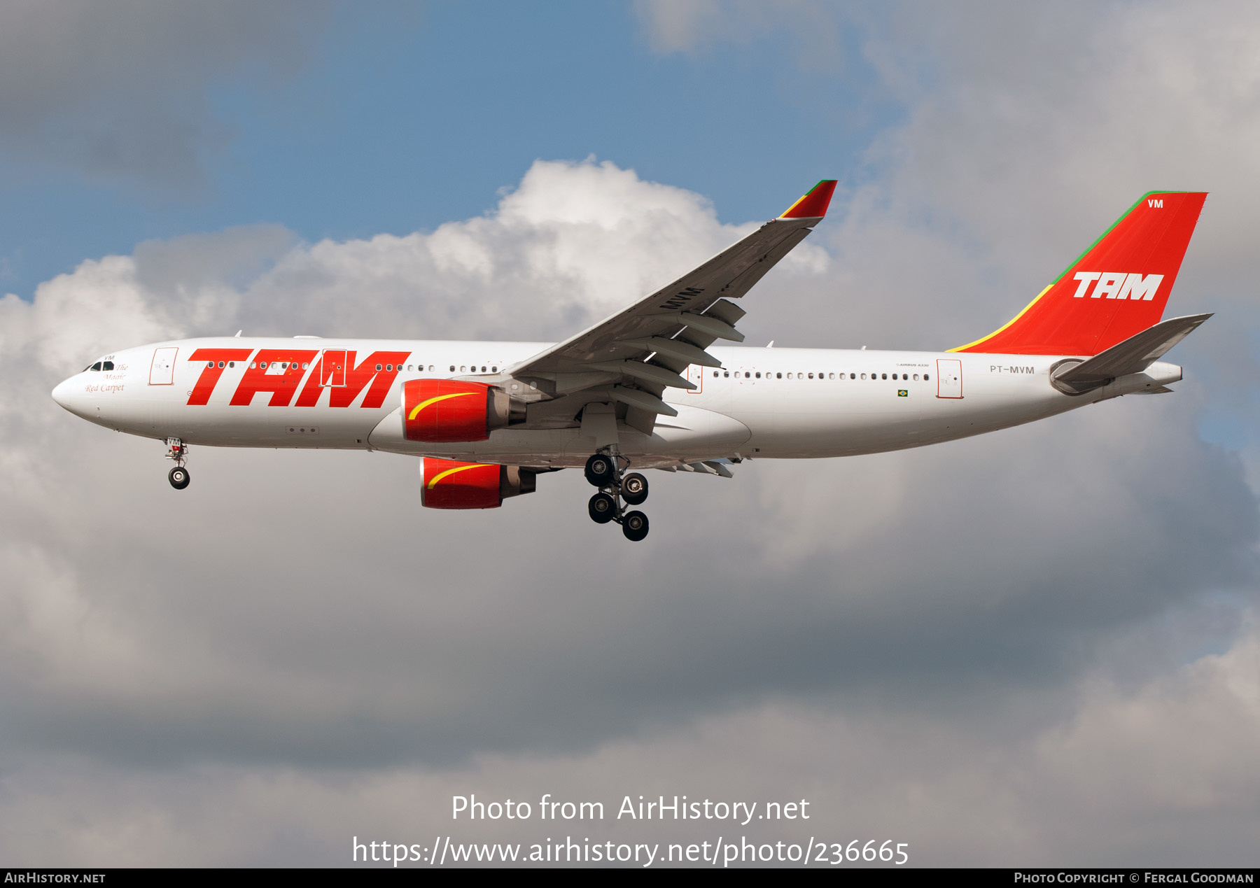 Aircraft Photo of PT-MVM | Airbus A330-223 | TAM Linhas Aéreas | AirHistory.net #236665