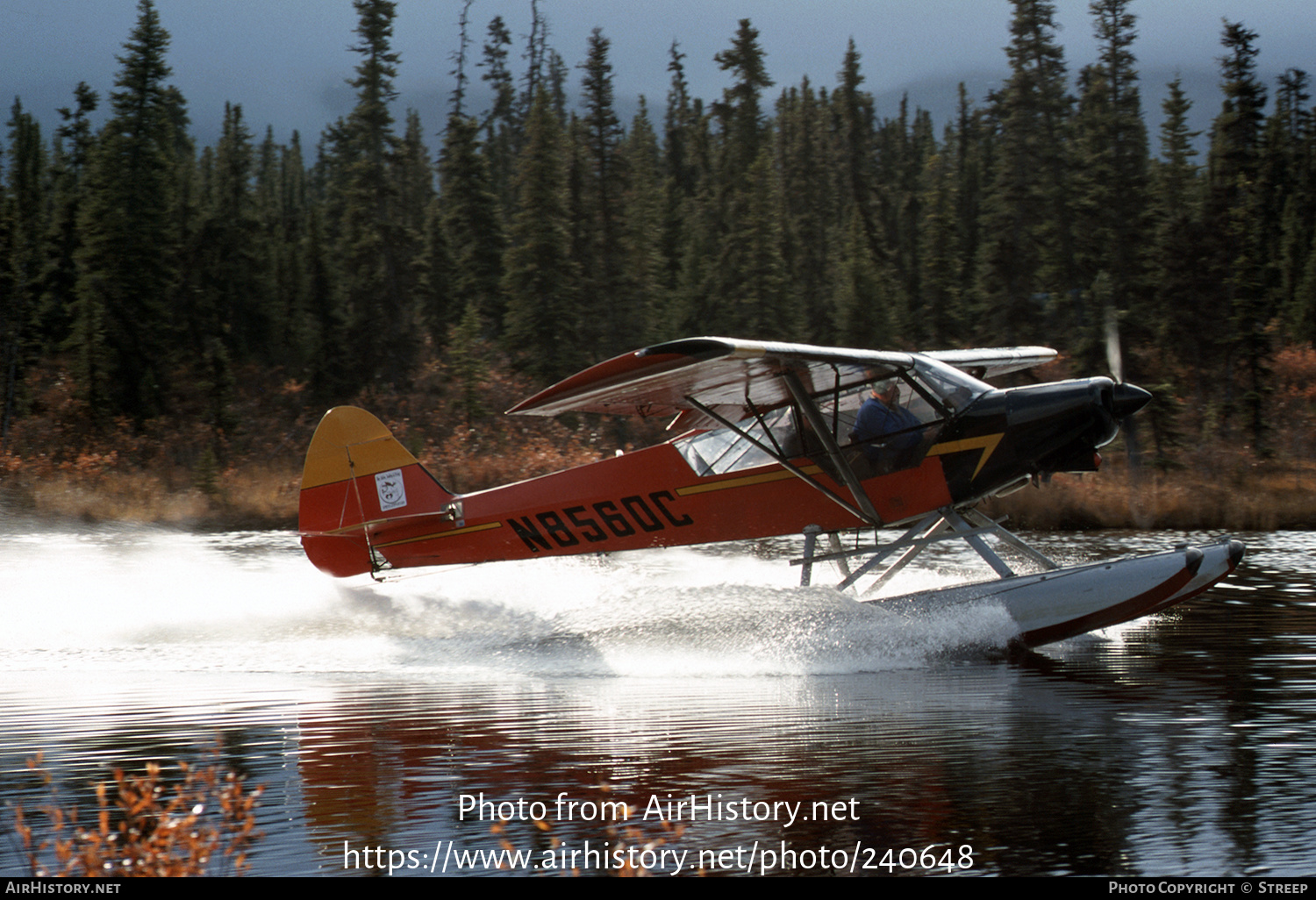 Aircraft Photo of N8560C | Piper PA-18 Super Cub | Ray Atkins Fly Inn | AirHistory.net #240648