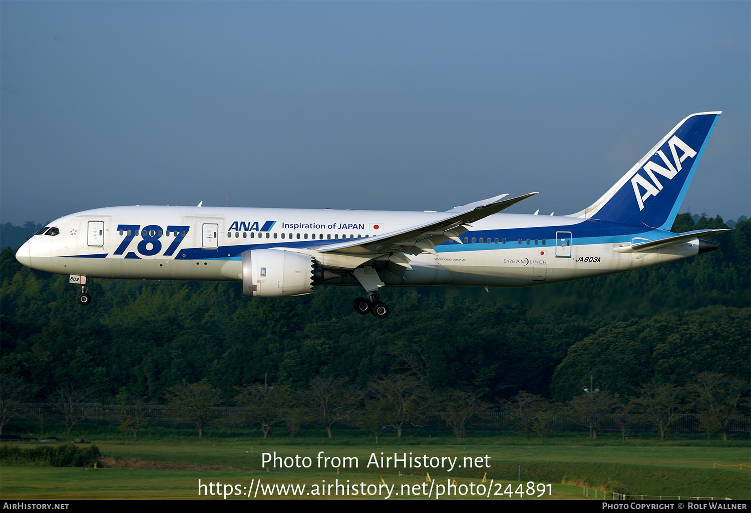 Aircraft Photo of JA803A | Boeing 787-8 Dreamliner | All Nippon Airways - ANA | AirHistory.net #244891