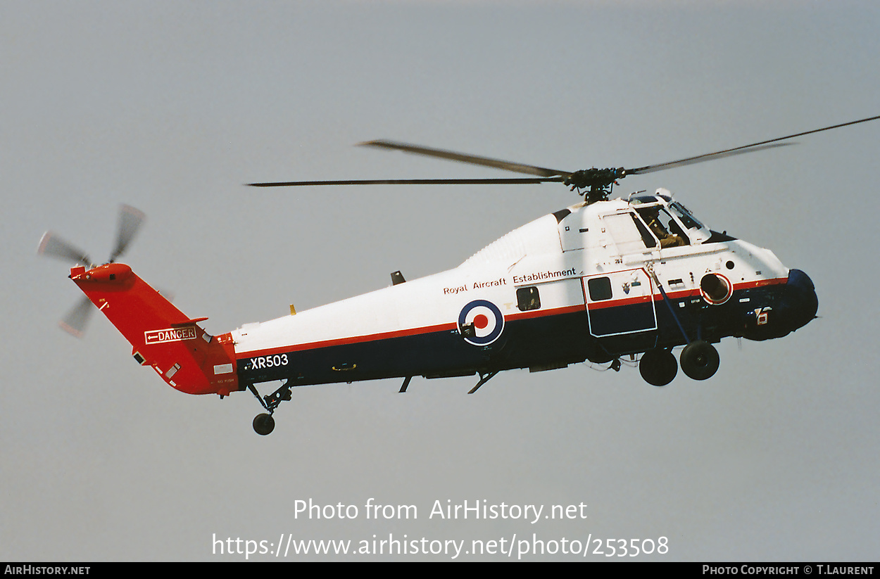 Aircraft Photo of XR503 | Westland WS-58 Wessex HC.2 | UK - Air Force | AirHistory.net #253508