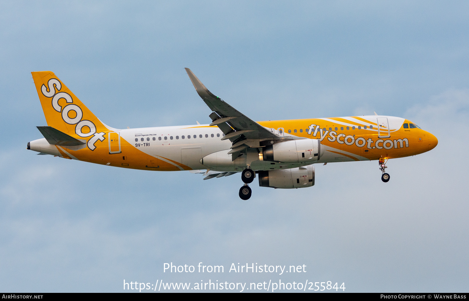 Aircraft Photo of 9V-TRI | Airbus A320-232 | Scoot | AirHistory.net #255844