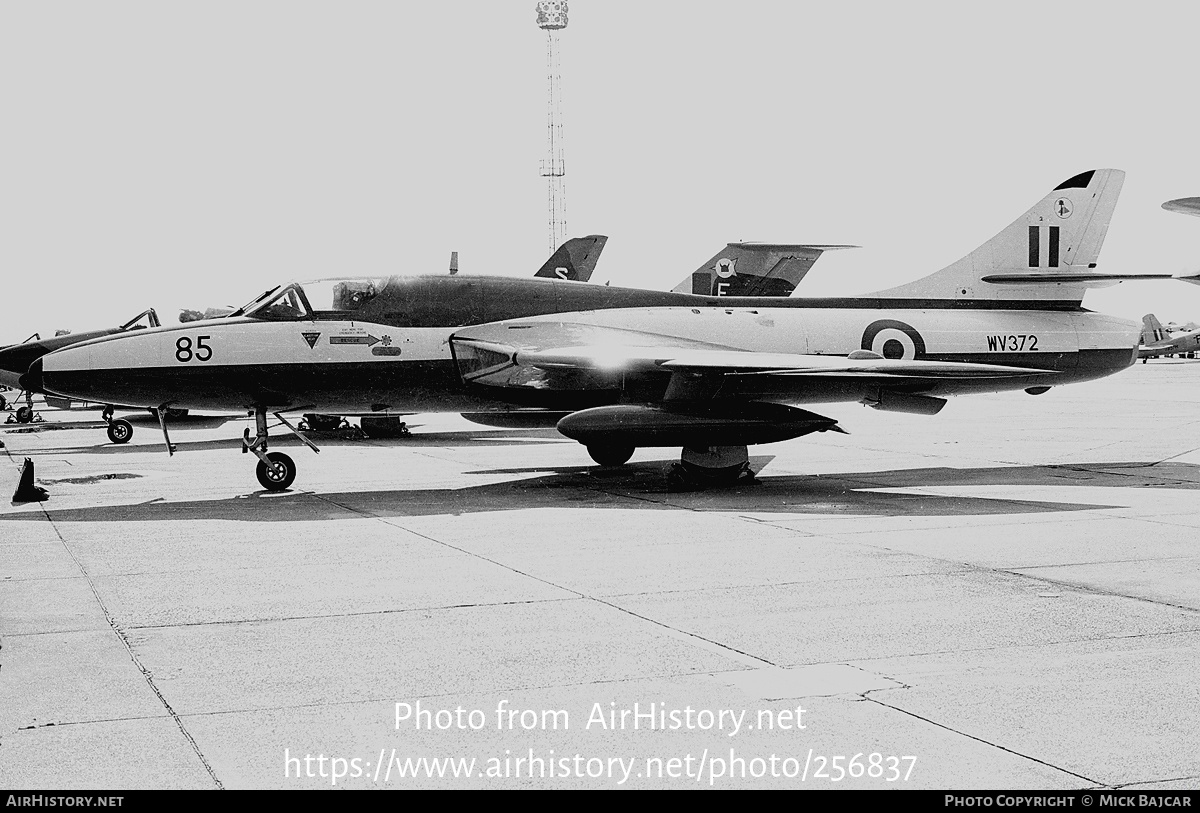 Aircraft Photo of WV372 | Hawker Hunter T7 | UK - Air Force | AirHistory.net #256837