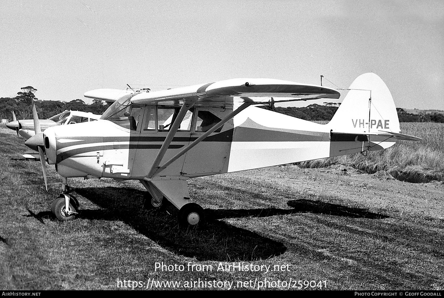 Aircraft Photo of VH-PAE | Piper PA-22-160 Tri-Pacer | AirHistory.net #259041