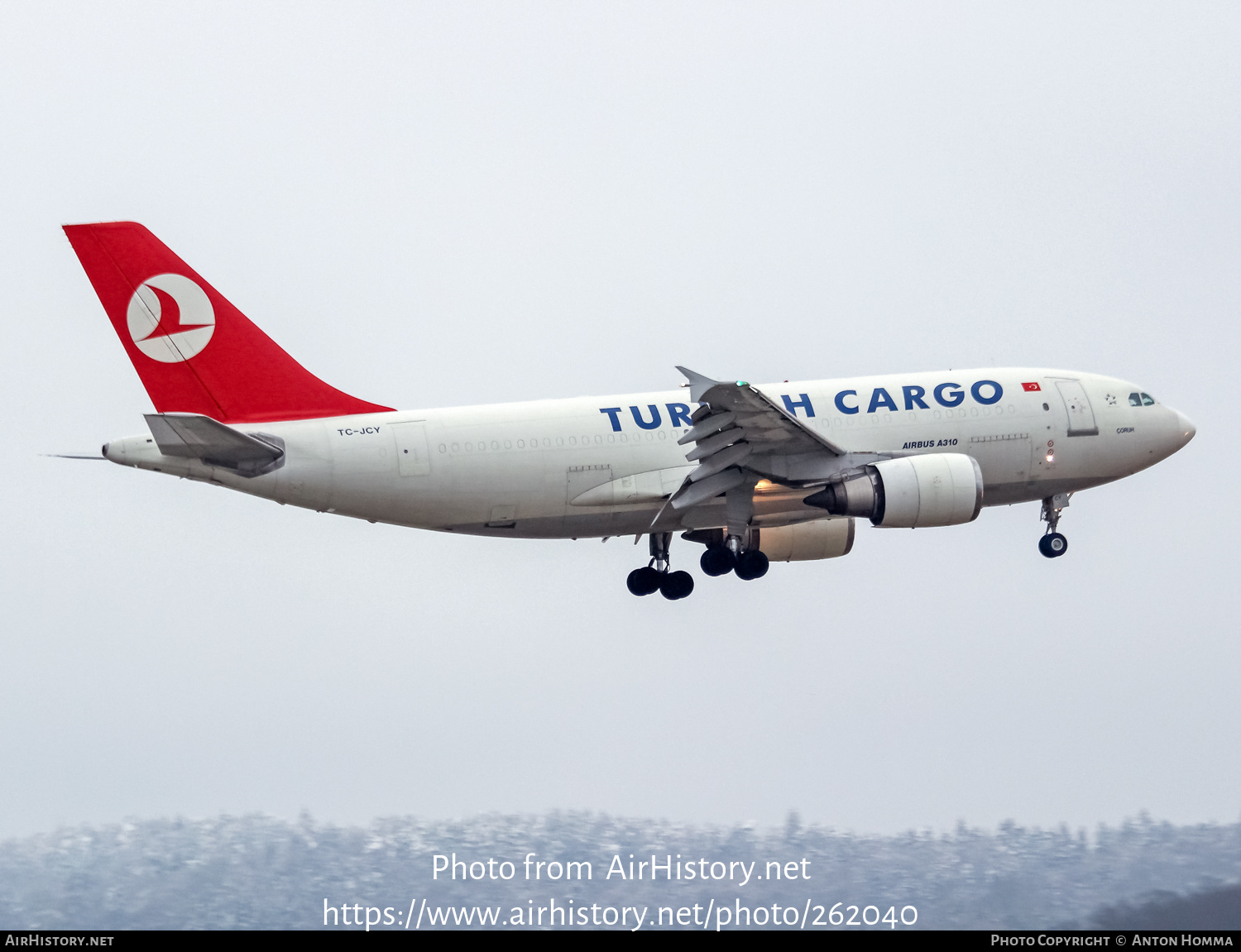 Aircraft Photo of TC-JCY | Airbus A310-304/F | Turkish Airlines Cargo | AirHistory.net #262040