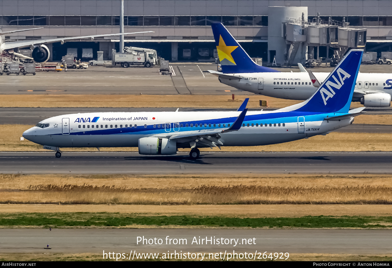 Aircraft Photo of JA76AN | Boeing 737-881 | All Nippon Airways - ANA | AirHistory.net #264929