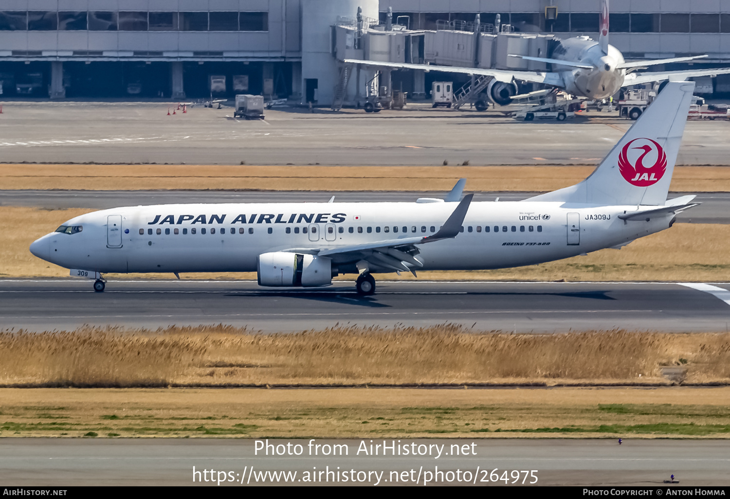 Aircraft Photo of JA309J | Boeing 737-846 | Japan Airlines - JAL | AirHistory.net #264975