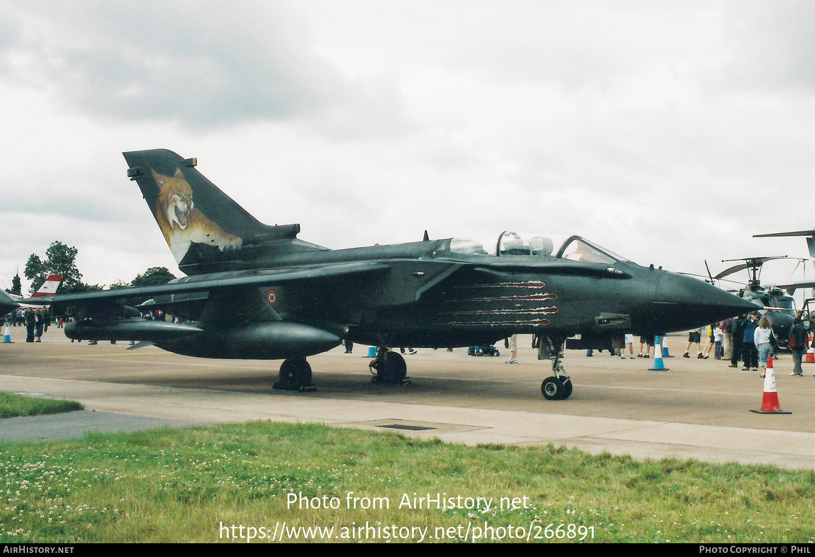 Aircraft Photo of MM7005 | Panavia Tornado IDS | Italy - Air Force | AirHistory.net #266891